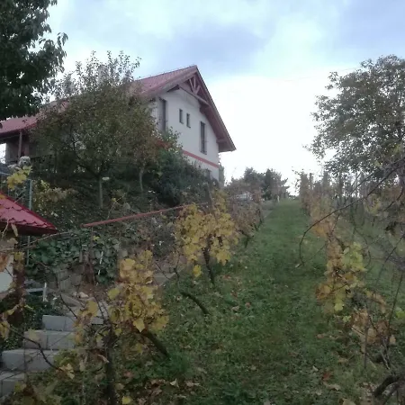 Nad Jezerem Guest house Pavlov