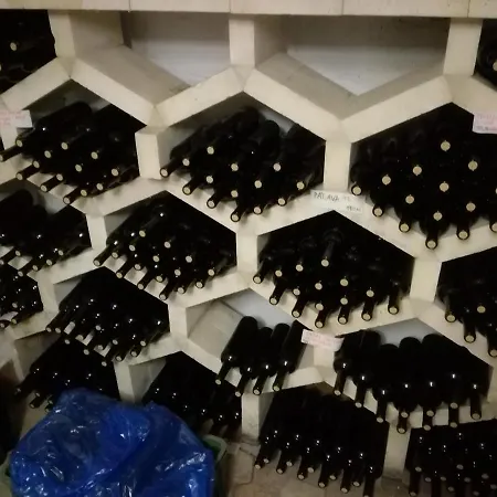 Nad Jezerem 3* 巴甫洛夫