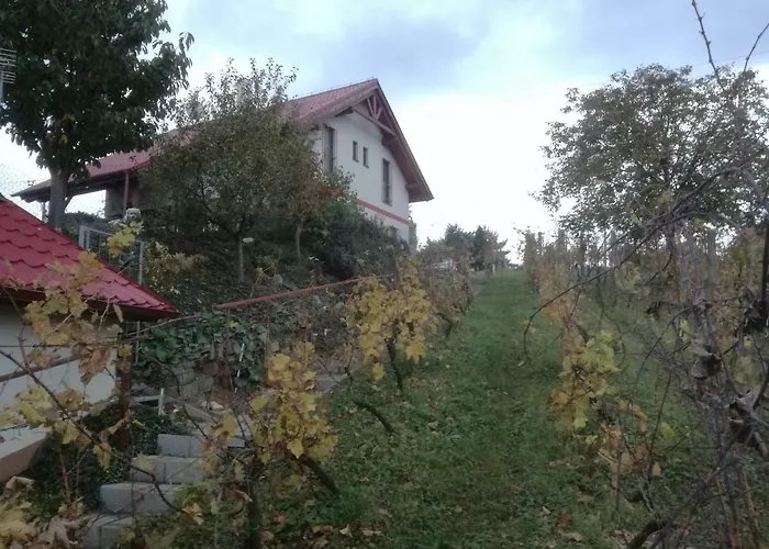 Nad Jezerem Penzion Pavlov